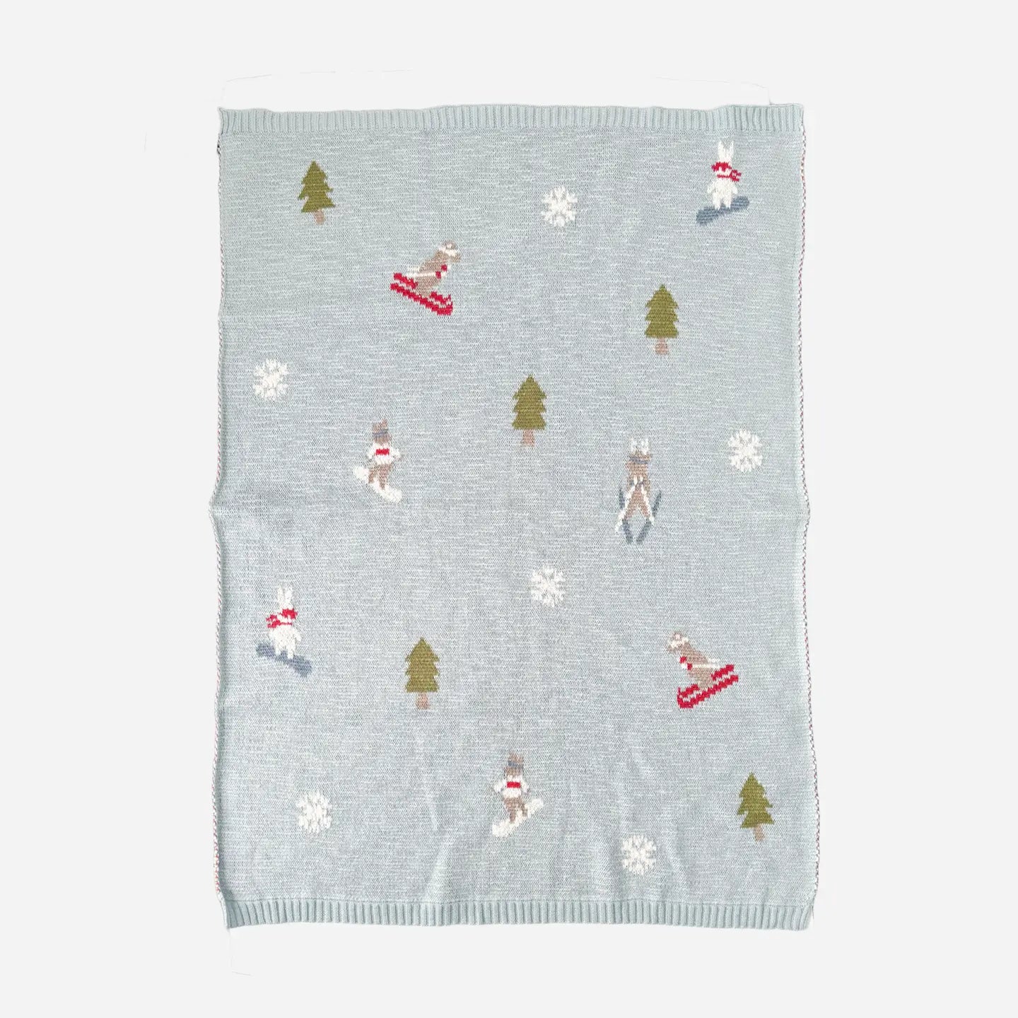 Blueberry Hill Baby Blanket - Ski/Snowboard