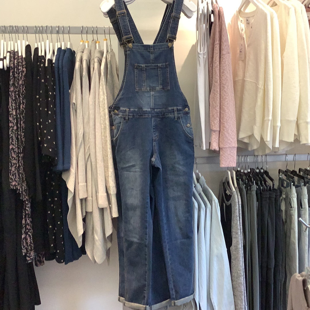 Ripe Denim Overalls in Indigo