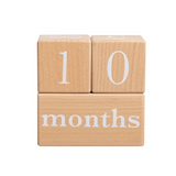 Wooden Milestone Blocks